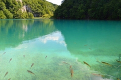kroasie2
